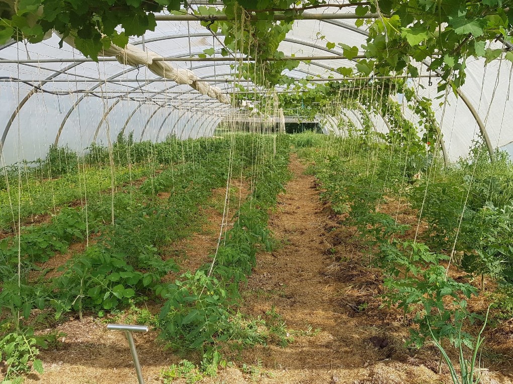 Les Jardins de Pompoko ou le maraîchage sur sol vivant