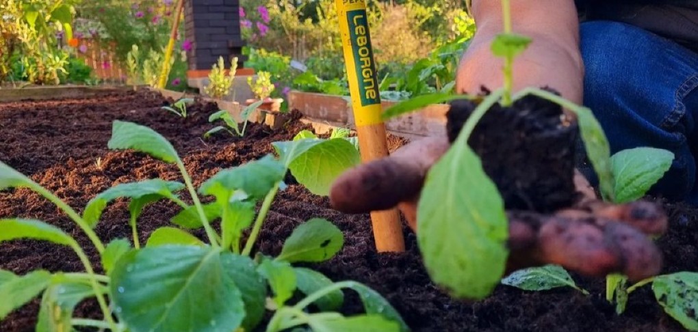 Leborgne vous partage ses conseils afin de préparer son jardin pour le printemps